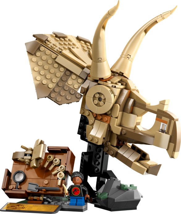 Set 76969-1